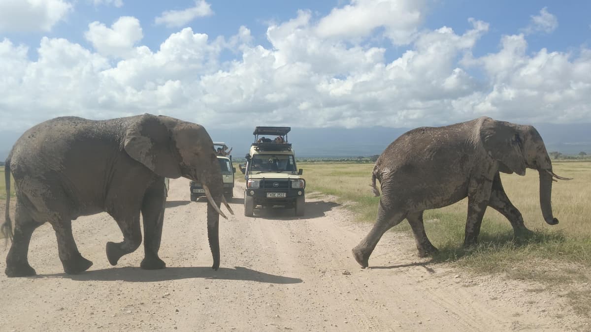 2-Nights Amboseli Safari