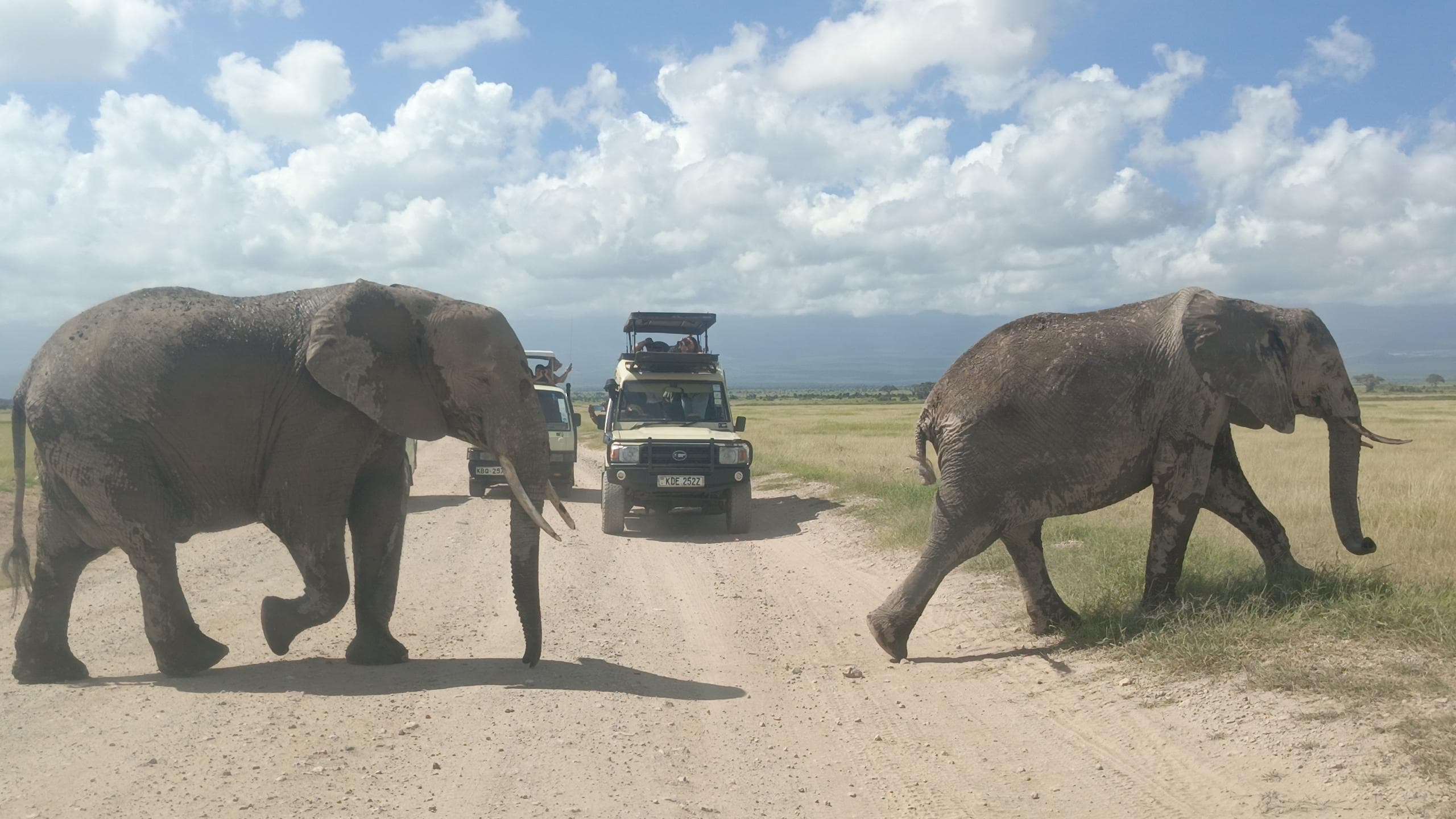 2-Nights Amboseli Safari