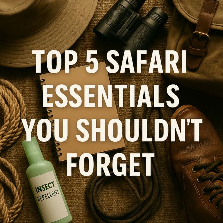 Top 5 Safari Essentials You Shouldn't Forget